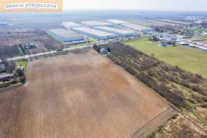 Działka na sprzedaż 20000m2 warszawski zachodni Błonie Kopytów - zdjęcie 2