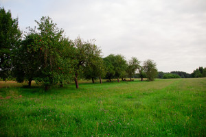 Działka na sprzedaż pabianicki Pabianice - zdjęcie 2