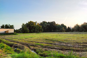 Działka na sprzedaż radomski Jedlińsk Jankowice - zdjęcie 3