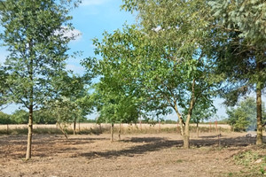 Działka na sprzedaż radomski Kowala Dąbrówka Zabłotnia - zdjęcie 3