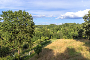 Działka na sprzedaż 10500m2 brzeski Dębno Porąbka Uszewska - zdjęcie 1