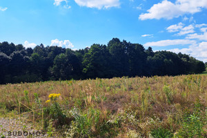 Działka na sprzedaż 2400m2 tarnowski Wojnicz - zdjęcie 1