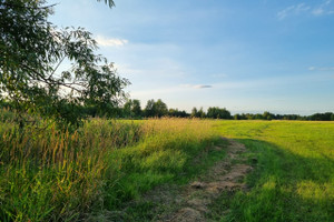 Działka na sprzedaż 7500m2 wołomiński Tłuszcz Jasienica Szosa Wołomińska - zdjęcie 3