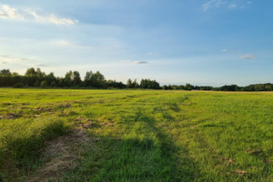 Działka na sprzedaż 7500m2 wołomiński Tłuszcz Jasienica Szosa Wołomińska - zdjęcie 2