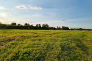 Działka na sprzedaż 7500m2 wołomiński Tłuszcz Jasienica Szosa Wołomińska - zdjęcie 1