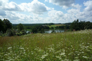 Działka na sprzedaż 12300m2 olecki Olecko Olszewo - zdjęcie 1