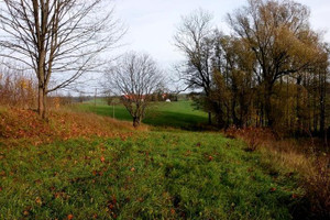 Działka na sprzedaż 1948m2 mrągowski Sorkwity Burszewo - zdjęcie 1