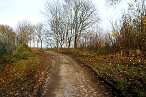 Działka na sprzedaż 1948m2 mrągowski Sorkwity Burszewo - zdjęcie 3