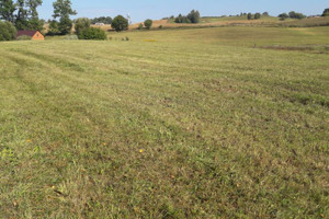 Działka na sprzedaż 5000m2 olecki Olecko Olszewo - zdjęcie 2