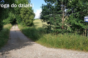 Działka na sprzedaż 3316m2 giżycki Miłki Rydzewo Brzozowa - zdjęcie 3