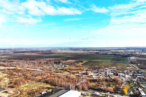 Działka na sprzedaż 6500m2 nyski Nysa Marszałka Józefa Piłsudskiego - zdjęcie 1