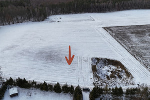 Działka na sprzedaż gdański Pruszcz Gdański Żuławka - zdjęcie 2