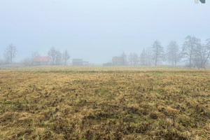 Działka na sprzedaż nowodworski Stegna Jantar Zacisze - zdjęcie 3