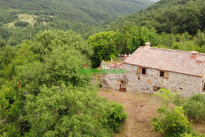 Dom na sprzedaż 117m2 Toskania Pisa Castelnuovo di Val di Cecina - zdjęcie 1