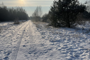 Działka na sprzedaż żyrardowski Radziejowice Budy Józefowskie - zdjęcie 1