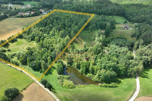 Działka na sprzedaż 29300m2 kartuski Stężyca - zdjęcie 3