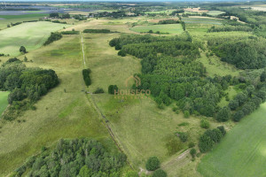 Działka na sprzedaż 12300m2 wejherowski Choczewo Zwartówko - zdjęcie 2