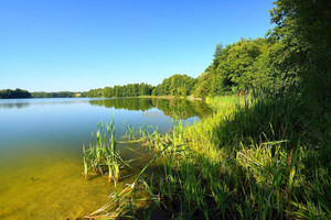 Działka na sprzedaż 15000m2 starogardzki Osiek Bukowiny - zdjęcie 3