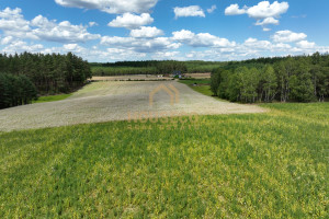 Działka na sprzedaż 110900m2 bytowski Lipnica Wojsk - zdjęcie 1