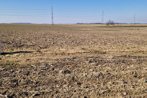 Działka na sprzedaż 1000m2 oławski Oława Gaj Oławski - zdjęcie 2