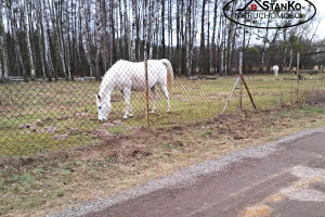 Działka na sprzedaż warszawski zachodni Kampinos Pasikonie - zdjęcie 1