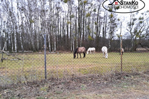 Działka na sprzedaż warszawski zachodni Kampinos Pasikonie - zdjęcie 2