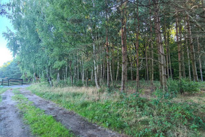 Działka na sprzedaż grodziski Żabia Wola Ojrzanów Przyleśna - zdjęcie 3