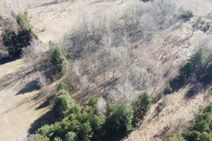 Działka na sprzedaż pruszkowski Brwinów Terenia - zdjęcie 2