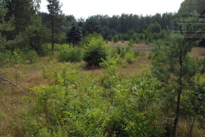 Działka na sprzedaż grodziski Żabia Wola Ojrzanów - zdjęcie 1