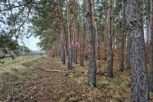 Działka na sprzedaż aleksandrowski Aleksandrów Kujawski Odolion - zdjęcie 1