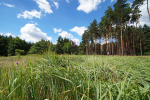 Działka na sprzedaż 1430m2 aleksandrowski Aleksandrów Kujawski Odolion - zdjęcie 2