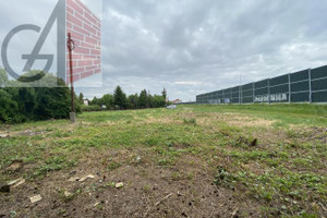 Działka na sprzedaż 2700m2 krakowski Wielka Wieś Modlnica - zdjęcie 2