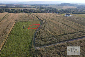 Działka na sprzedaż 1217m2 lwówecki Gryfów Śląski Krzewie Wielkie Krzewie Wielkie - zdjęcie 2