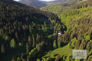 Działka na sprzedaż 19400m2 kłodzki Stronie Śląskie Kletno Śnieżnik Jaskinia Niedźwiedzia - zdjęcie 2