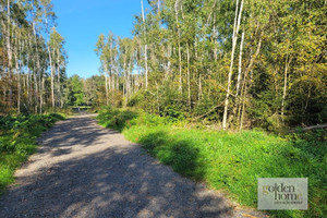 Działka na sprzedaż 987m2 lubański Leśna Świecie Świecie - zdjęcie 2