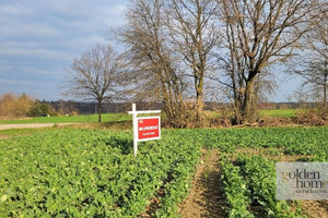 Działka na sprzedaż szamotulski Duszniki Grzebienisko Huby - zdjęcie 2