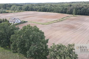 Działka na sprzedaż szamotulski Duszniki Grzebienisko Huby - zdjęcie 2