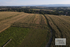 Działka na sprzedaż 1336m2 lwówecki Gryfów Śląski Krzewie Wielkie - zdjęcie 3