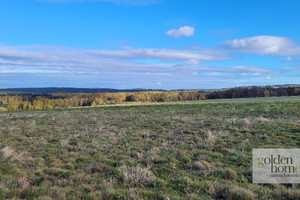 Działka na sprzedaż 1217m2 lwówecki Gryfów Śląski Krzewie Wielkie Krzewie Wielkie - zdjęcie 1