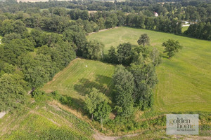 Działka na sprzedaż 5000m2 grodziski Grodzisk Wielkopolski Kąkolewo Albertowsko - zdjęcie 2