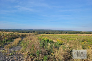 Działka na sprzedaż 1217m2 lwówecki Gryfów Śląski Krzewie Wielkie Krzewie Wielkie - zdjęcie 3