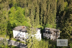 Działka na sprzedaż 19400m2 kłodzki Stronie Śląskie Kletno Śnieżnik Jaskinia Niedźwiedzia - zdjęcie 1