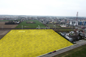 Działka na sprzedaż 16088m2 poznański Kostrzyn Ignacewo - zdjęcie 1