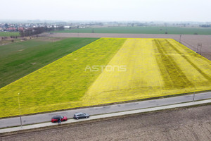 Działka na sprzedaż 27600m2 poznański Kostrzyn Ignacewo - zdjęcie 1