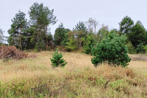 Działka na sprzedaż 1586m2 wejherowski Szemud Kamień Turystyczna - zdjęcie 2