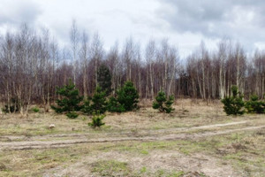 Działka na sprzedaż 1005m2 wejherowski Linia Strzepcz Aleja Zdrowia - zdjęcie 2