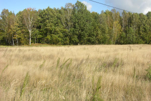 Działka na sprzedaż 1688m2 wejherowski Szemud Szemudzka Huta Przejazdowa - zdjęcie 1