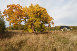 Działka na sprzedaż 1593m2 wejherowski Szemud Kowalewo Wiśniowa - zdjęcie 1