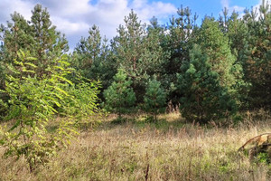 Działka na sprzedaż 2000m2 wejherowski Łęczyce Bożepole Małe Wejherowska - zdjęcie 3