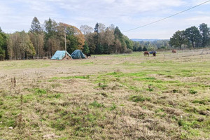 Działka na sprzedaż 1688m2 wejherowski Szemud Szemudzka Huta Przejazdowa - zdjęcie 3